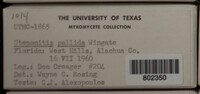 Image Associated With the Occurence